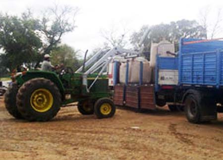 Méndez%20Negocios%20Agropecuarios%20|%20Comercialización%20de%20Cereales,%20Legumbres,%20Soja,%20Maíz%20|%20Salta%20 %20Argentina