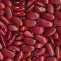 poroto dark red kidney