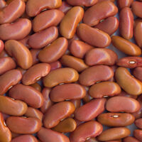 poroto light red kidney