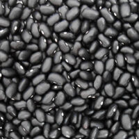 poroto negro